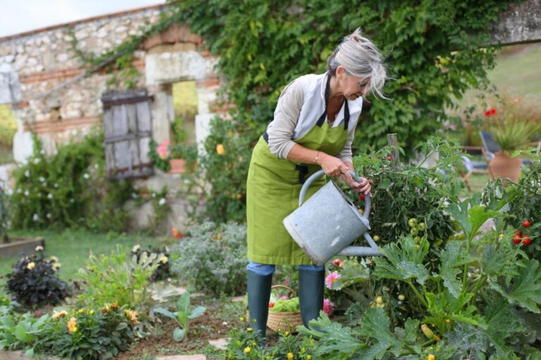 6 gardening projects for seniors to try at home